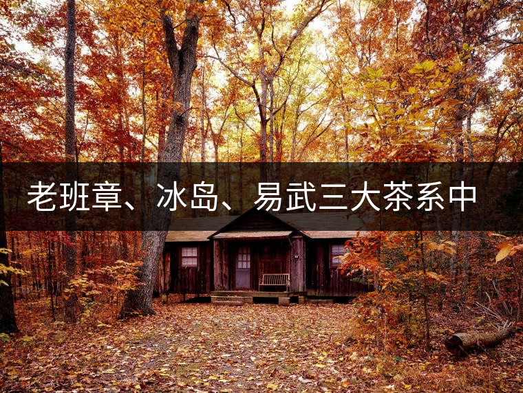 老班章、冰島、易武三大茶系中，“潛力股”為何是易武？