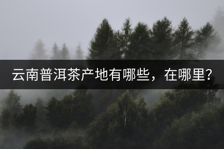 云南普洱茶產(chǎn)地有哪些，在哪里？