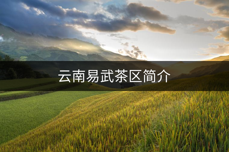 云南易武茶區(qū)簡介