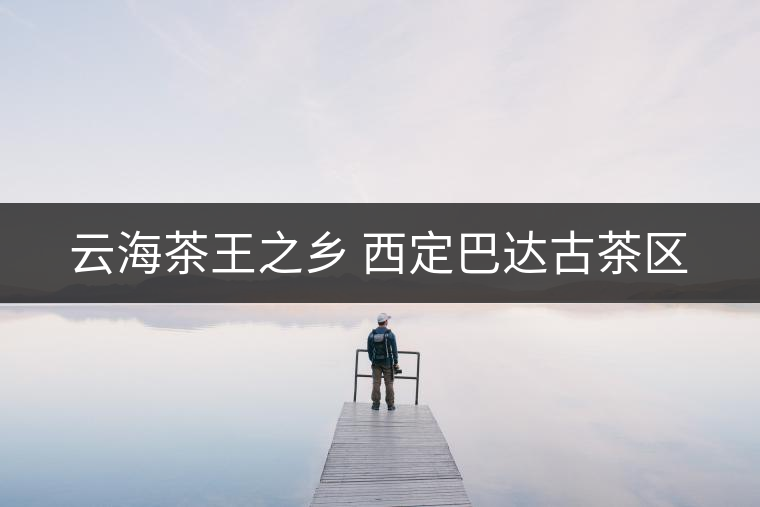 云海茶王之鄉(xiāng) 西定巴達古茶區(qū)