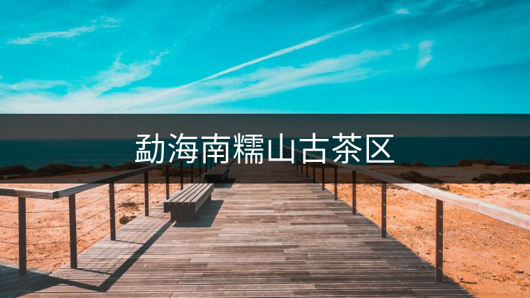 勐海南糯山古茶區(qū)
