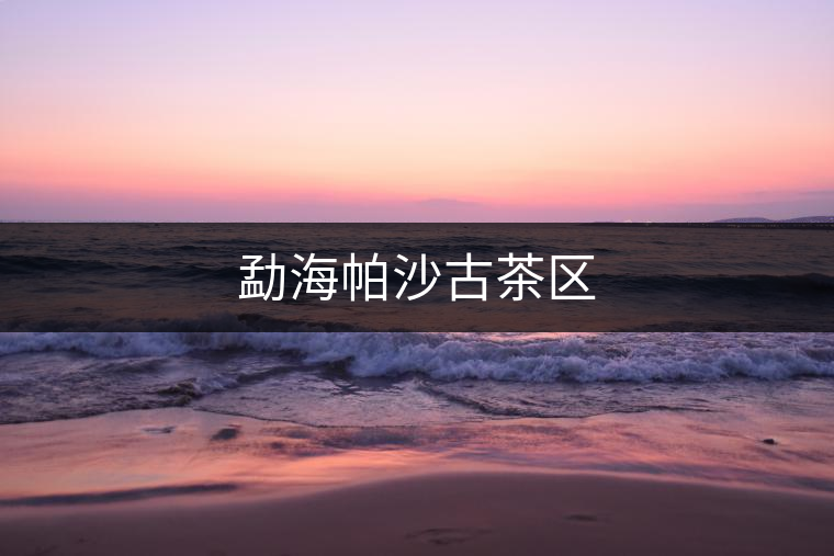 勐海帕沙古茶區(qū)