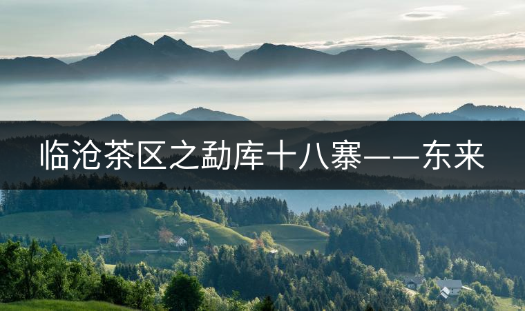 臨滄茶區(qū)之勐庫十八寨——東來 臨滄茶區(qū)之勐庫十八寨——東來
