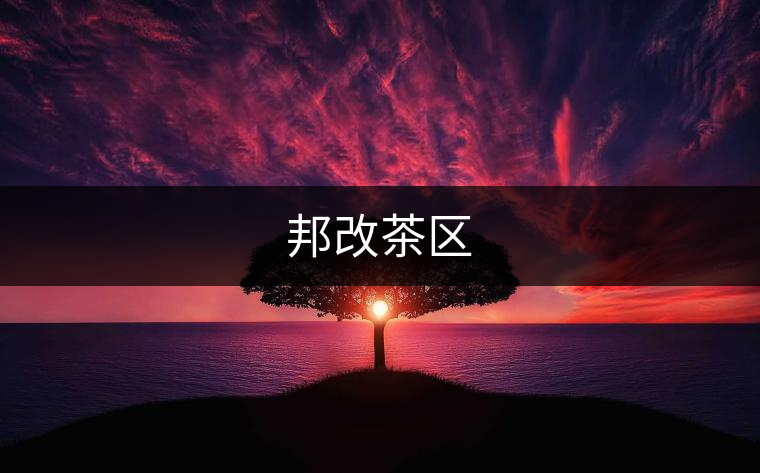 邦改茶區(qū)