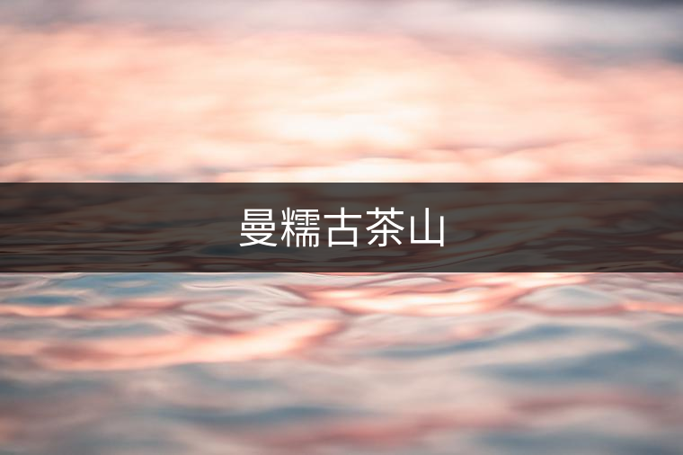 曼糯古茶山 曼糯古茶山