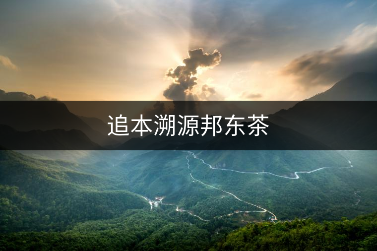 追本溯源邦東茶 追本溯源邦東茶