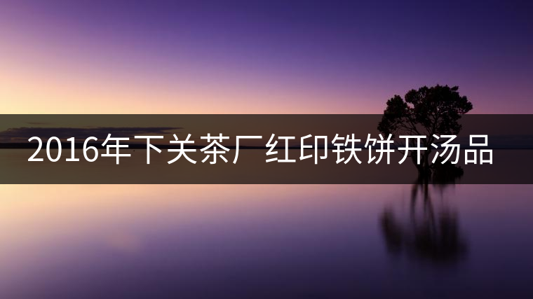 2016年下關茶廠紅印鐵餅開湯品鑒 2016年下關茶廠紅印鐵餅開湯品鑒