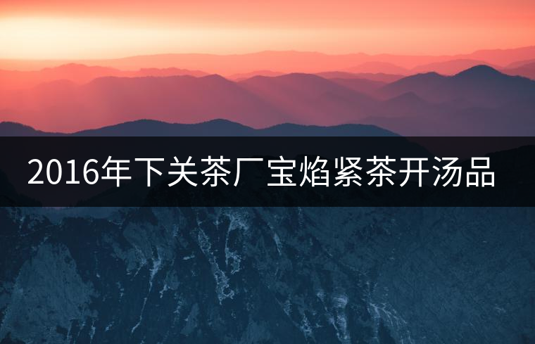 2016年下關(guān)茶廠寶焰緊茶開湯品鑒