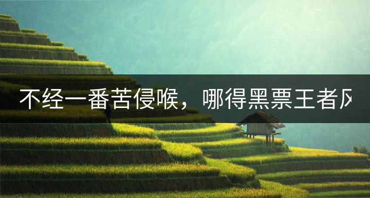 不經(jīng)一番苦侵喉，哪得黑票王者風！