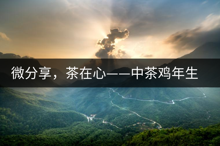 微分享，茶在心——中茶雞年生肖餅