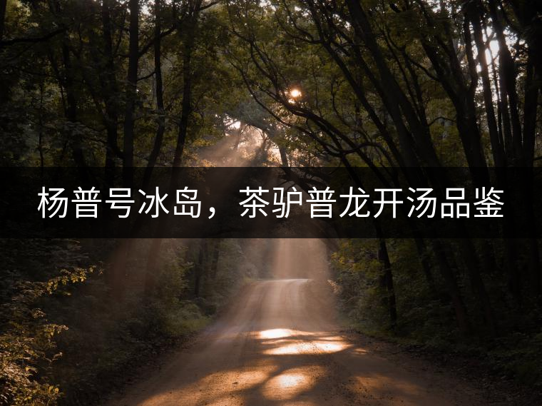 楊普號冰島，茶驢普龍開湯品鑒