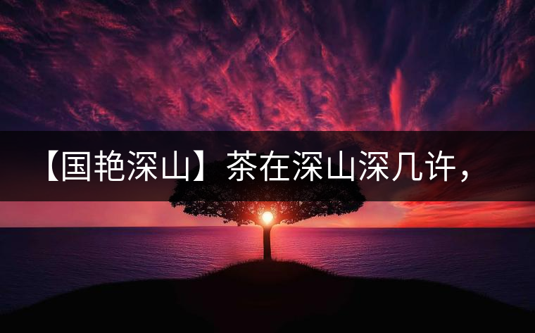 【國艷深山】茶在深山深幾許，布朗味釅釅幾分！