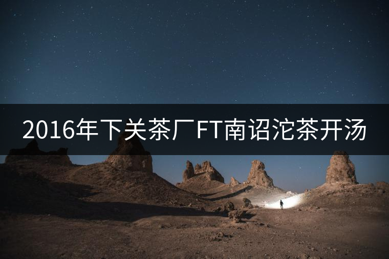 2016年下關茶廠FT南詔沱茶開湯