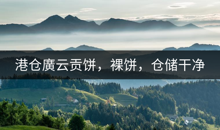 港倉廣云貢餅，裸餅，倉儲(chǔ)干凈