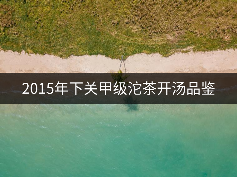 2015年下關(guān)甲級(jí)沱茶開(kāi)湯品鑒 2015年下關(guān)甲級(jí)沱茶開(kāi)湯品鑒