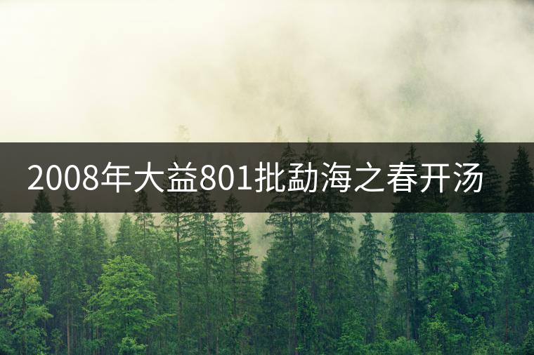 2008年大益801批勐海之春開湯品鑒