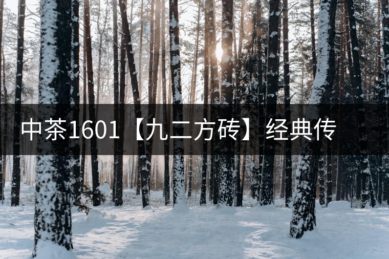 中茶1601【九二方磚】經(jīng)典傳承，巔峰即現(xiàn)