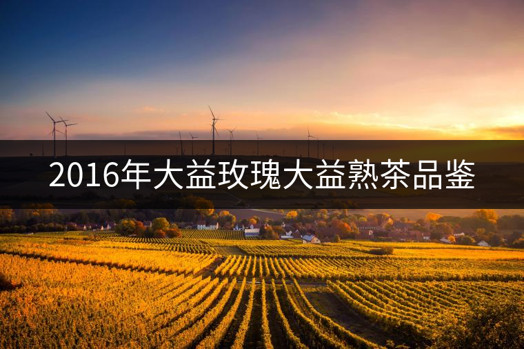 2016年大益玫瑰大益熟茶品鑒