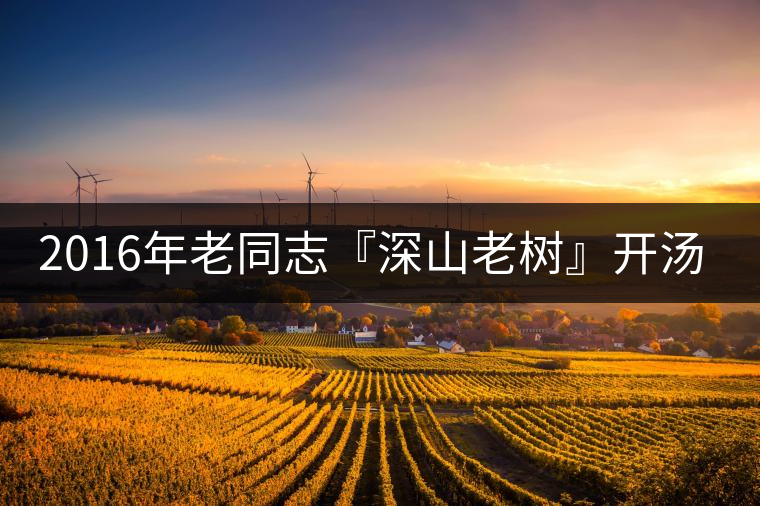 2016年老同志『深山老樹(shù)』開(kāi)湯品鑒