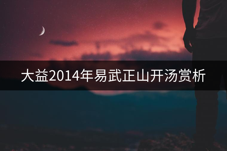 大益2014年易武正山開湯賞析