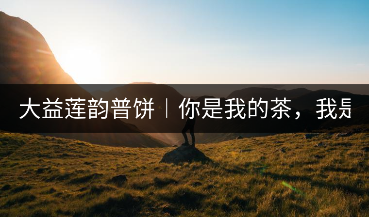 大益蓮韻普餅︱你是我的茶，我是你的人！