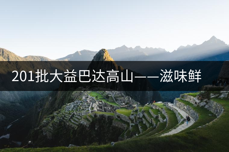 201批大益巴達(dá)高山——滋味鮮爽醇厚，回甘高而持久