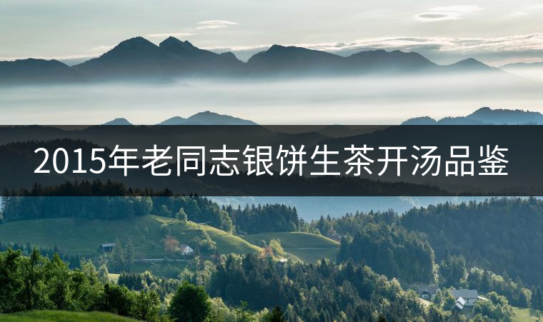 2015年老同志銀餅生茶開湯品鑒 2015年老同志銀餅生茶開湯品鑒