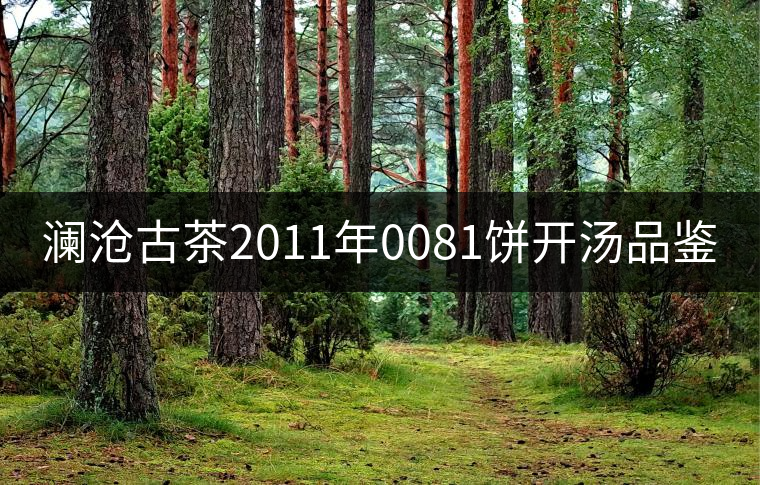 瀾滄古茶2011年0081餅開(kāi)湯品鑒