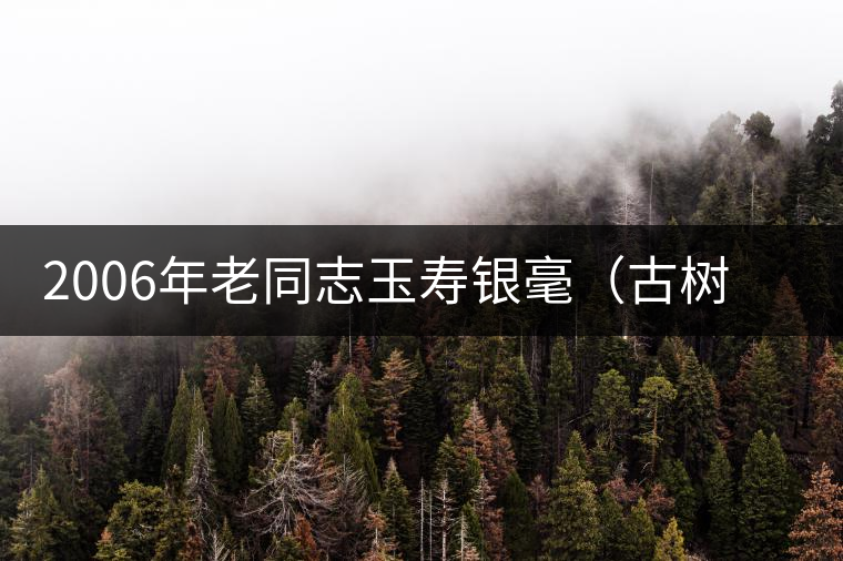 2006年老同志玉壽銀毫（古樹(shù)茶）開(kāi)湯賞析