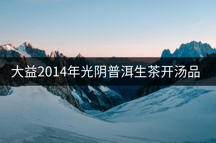 大益2014年光陰普洱生茶開湯品鑒 大益2014年光陰普洱生茶開湯品鑒