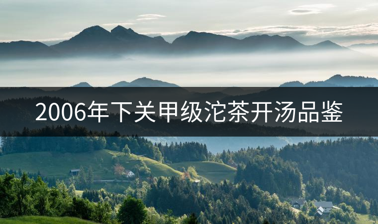 2006年下關(guān)甲級沱茶開湯品鑒