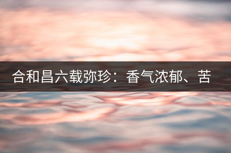 合和昌六載彌珍：香氣濃郁、苦澀均衡