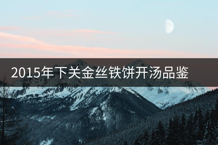 2015年下關金絲鐵餅開湯品鑒：香氣高揚、滋味綿和