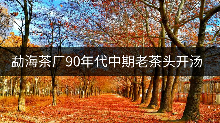 勐海茶廠90年代中期老茶頭開湯品鑒 勐海茶廠90年代中期老茶頭開湯品鑒