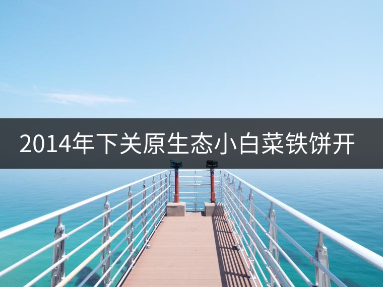 2014年下關原生態(tài)小白菜鐵餅開湯品鑒 2014年下關原生態(tài)小白菜鐵餅開湯品鑒