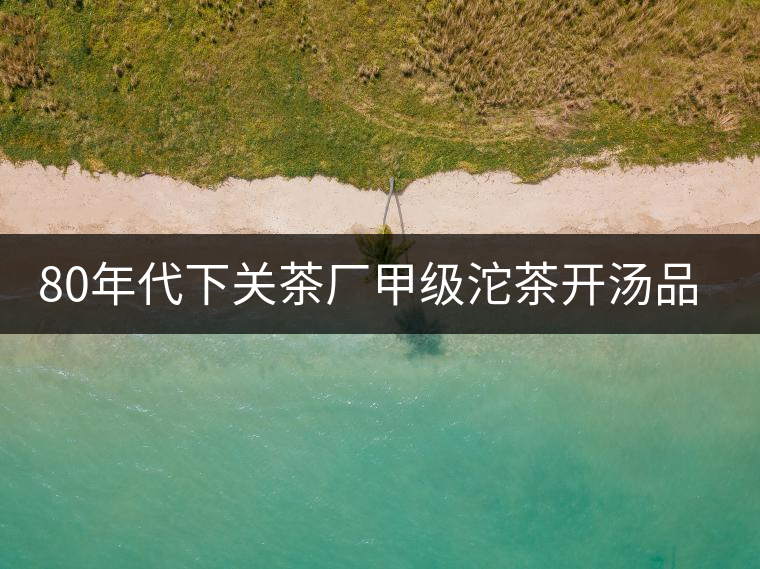 80年代下關(guān)茶廠甲級沱茶開湯品鑒