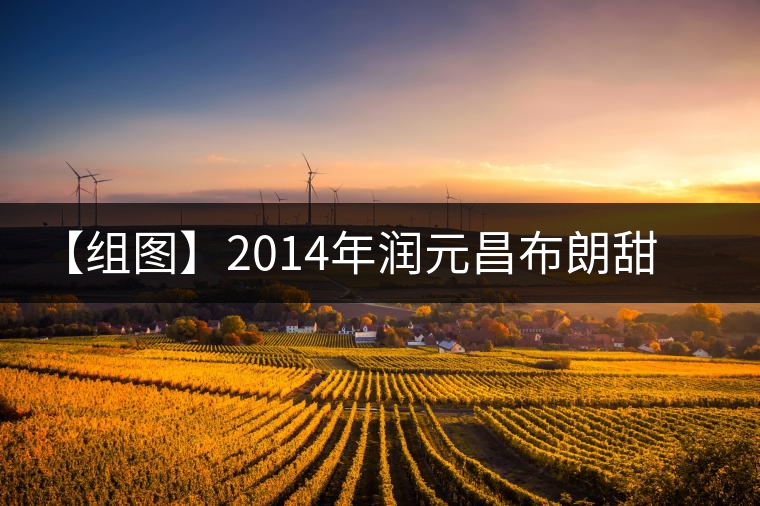 【組圖】2014年潤元昌布朗甜茶開湯 【組圖】2014年潤元昌布朗甜茶開湯