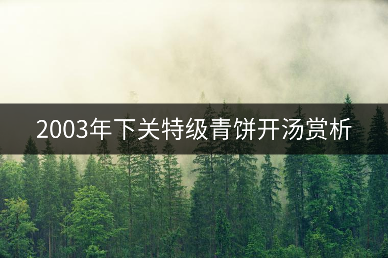 2003年下關特級青餅開湯賞析