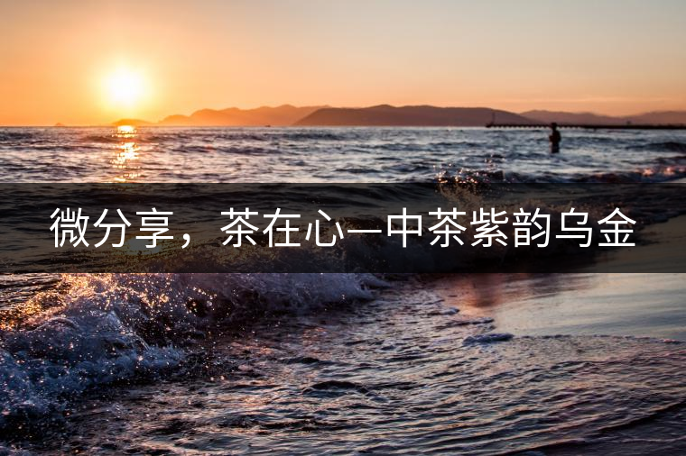 微分享，茶在心—中茶紫韻烏金