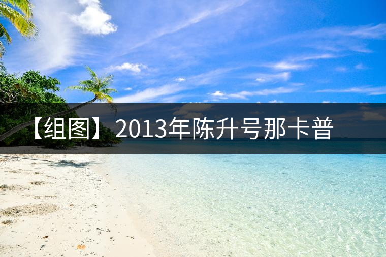 【組圖】2013年陳升號(hào)那卡普洱茶開(kāi)湯