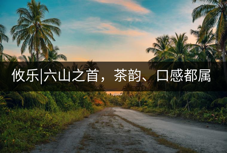 攸樂|六山之首，茶韻、口感都屬古六山一系