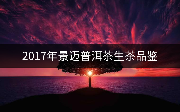 2017年景邁普洱茶生茶品鑒