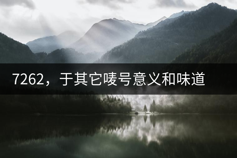 7262，于其它嘜號(hào)意義和味道都不一樣的大益高等級(jí)熟餅