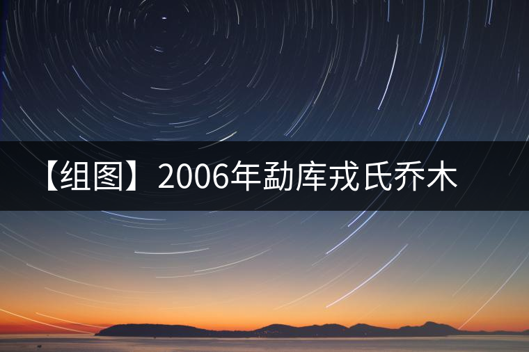【組圖】2006年勐庫戎氏喬木王開湯