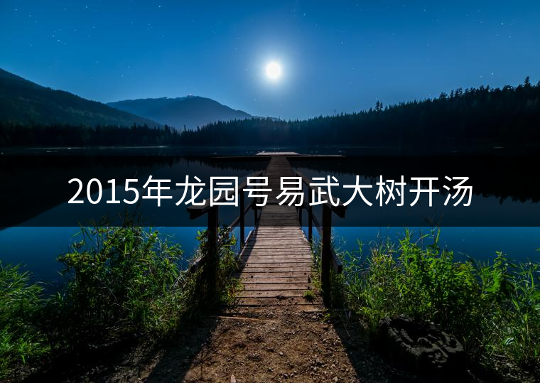 2015年龍園號(hào)易武大樹開湯 2015年龍園號(hào)易武大樹開湯