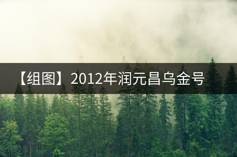 【組圖】2012年潤元昌烏金號(hào)普洱生茶開湯 【組圖】2012年潤元昌烏金號(hào)普洱生茶開湯
