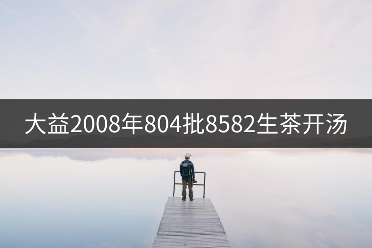 大益2008年804批8582生茶開湯 大益2008年804批8582生茶開湯