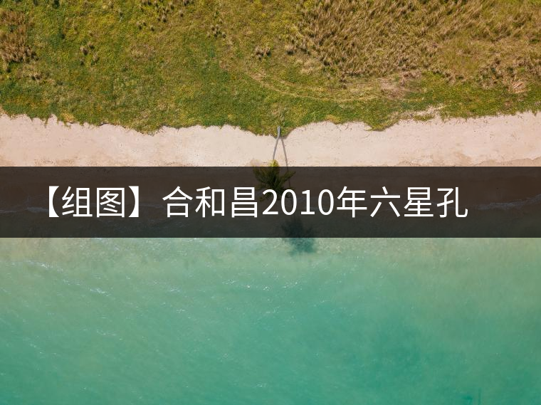 【組圖】合和昌2010年六星孔雀青餅開(kāi)湯