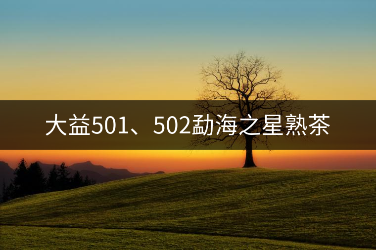 大益501、502勐海之星熟茶