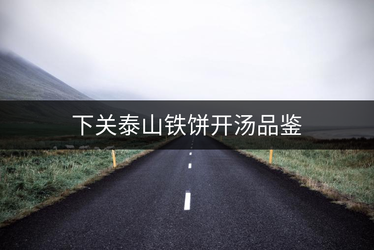 下關(guān)泰山鐵餅開湯品鑒 下關(guān)泰山鐵餅開湯品鑒